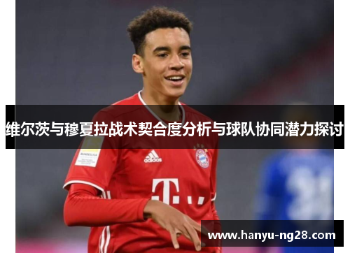 维尔茨与穆夏拉战术契合度分析与球队协同潜力探讨