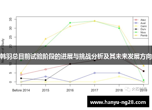 韩羽总目前试验阶段的进展与挑战分析及其未来发展方向