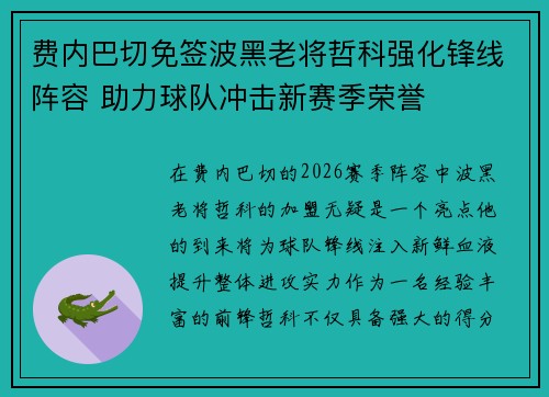 费内巴切免签波黑老将哲科强化锋线阵容 助力球队冲击新赛季荣誉